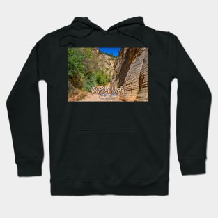 Lick Wash Trail Hike Hoodie